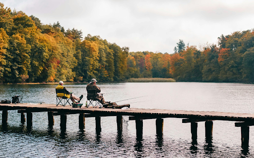 The Art of Fly Fishing: Tips for Beginners